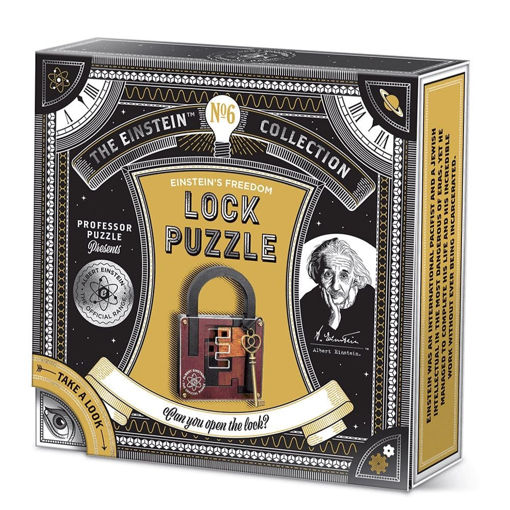 Picture of Einstein Lock Puzzle